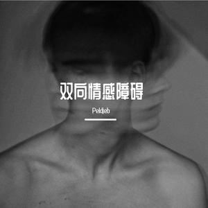 双向感情障碍（Pord EVOMUSIC）