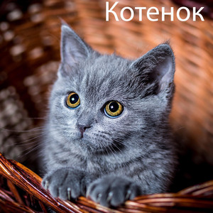 Котенок (Original Mix)