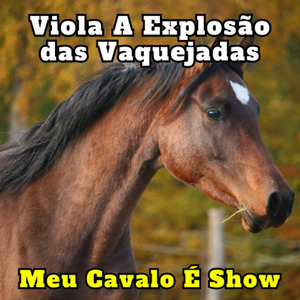 Meu Cavalo É Show (Cover)