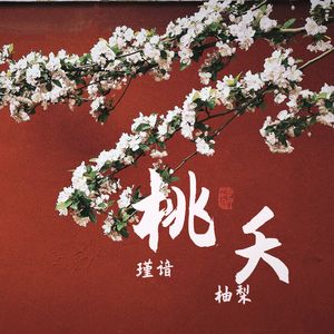桃夭【琵琶笛箫】