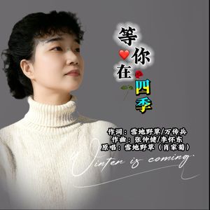 等你在四季-雪地野草