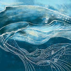 捧在手心的那一顆