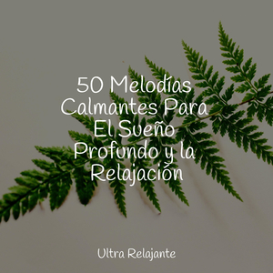 Llevado Por La Brisa