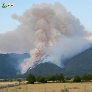 WOLFF PARKINSON WHITE