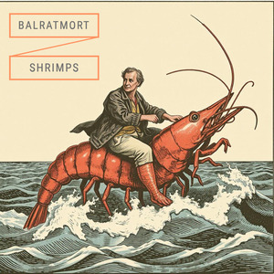Shrimps