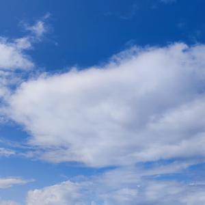 【派大星伤感语录】为什么所有倒霉的事都落在我身上啊