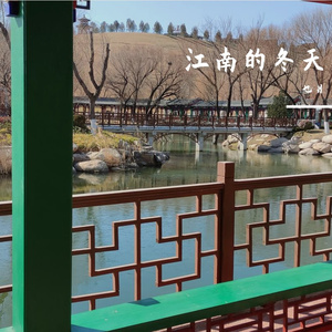 为何你不留恋这世间