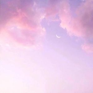 请你记住我的姓名