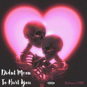 Didn't Mean To Hurt You (feat. itsJUNE)