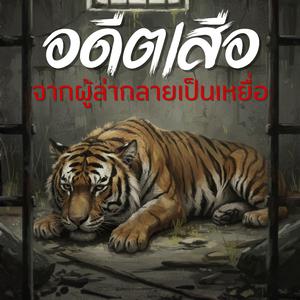 อดีตเสือ (จากผู้ล่ากลายเป็นเหยื่อ)