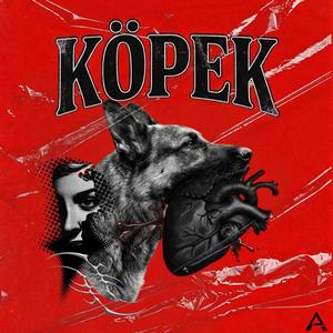 KÖPEK