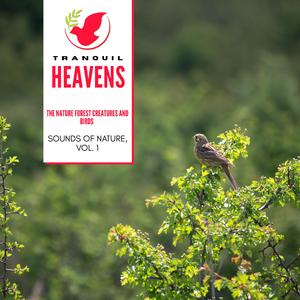 Sedate Water Flowing