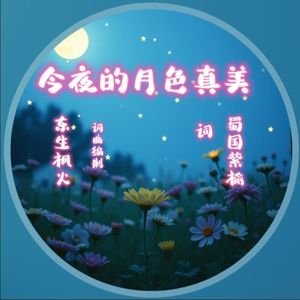 今夜的月色真美