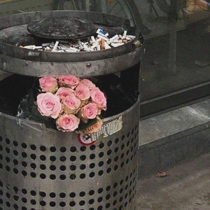 GIORNATA DI MERDA