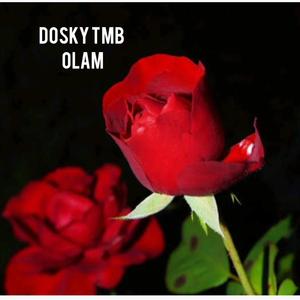 Olam
