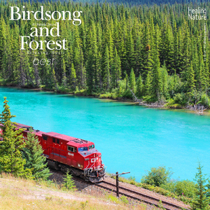 마음을 평온하게 하는 자연의 소리