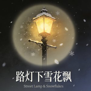 路灯下雪花飘