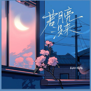 若月亮没来（DJ小瑞 抖音热播版）