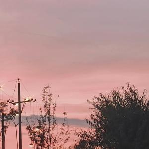 大森林的早晨 - 阎珂璠