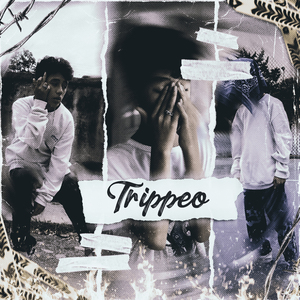Trippeo