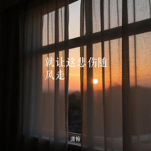 就让这悲伤随风走