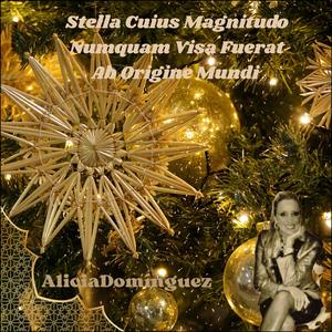 Stella Cuius Magnitudo Numquam Visa Fuerat Ab Origine Mundi