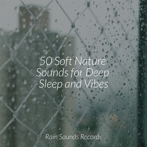 Dancing Petals Under Grey Skies