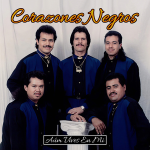 No Voy a Dejar de Amarte