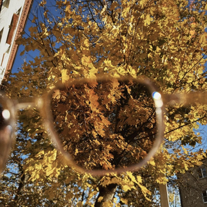 В тени осени