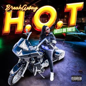 H.O.T Heels on Twos's