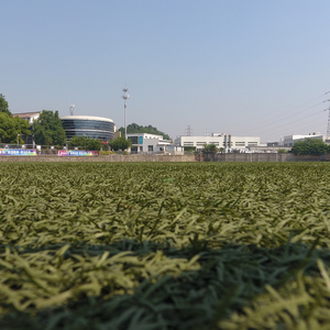 幻想即兴曲 第一段尝试（Cover 肖邦）