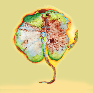 Luz & Chuva de Esmeralda