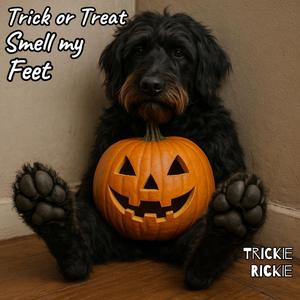 Trick or Treat, Smell my Feet