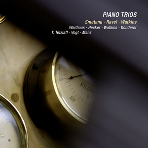 Piano Trio in G Minor, Op. 15: III. Finale. Presto