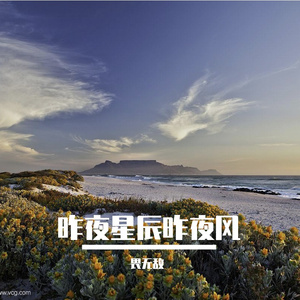 昨夜星辰昨夜风