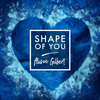 Alison Gilbert - Shape of You