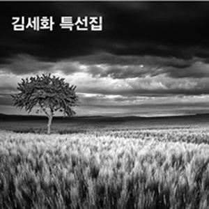 산까치야