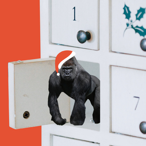 サンタは今でも信じてる