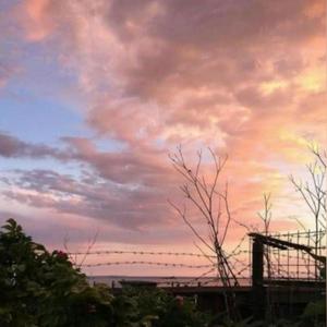 藏（男女合唱版）（翻自 双笙）