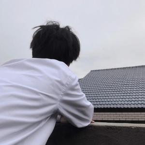 开心往前飞