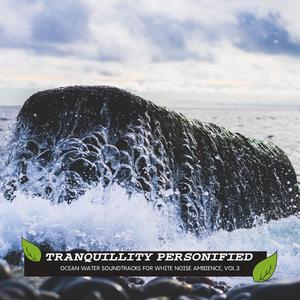 Morning Birds and Mountain Water Sound