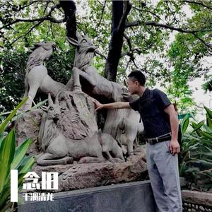 我的草原我的马