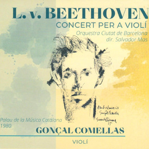 Concert per a violí i orquestra en Re Major, Op. 61:I. Allegro ma non troppo