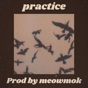 Free"practice"