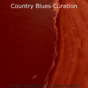 Terrific Blues - Vibe for Barbecues