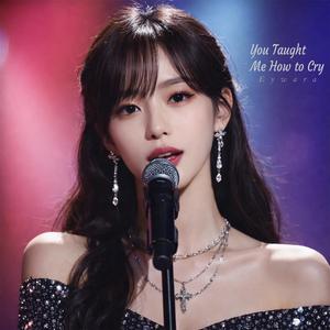 I Was Just a Chapter, You Were My Book