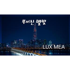 부서진 별빛