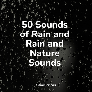 Rain, Light Metal, Window Pane