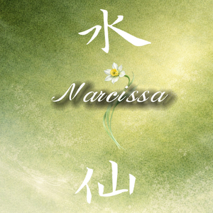 水中仙——Narcissa（demo）.wav