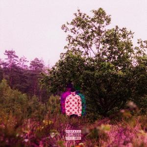 Right Back (feat. Sinniwavi)